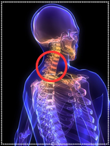 体調不良の原因の多くは上部頸椎の変位にあります